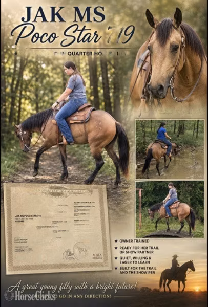 Quarter Horse