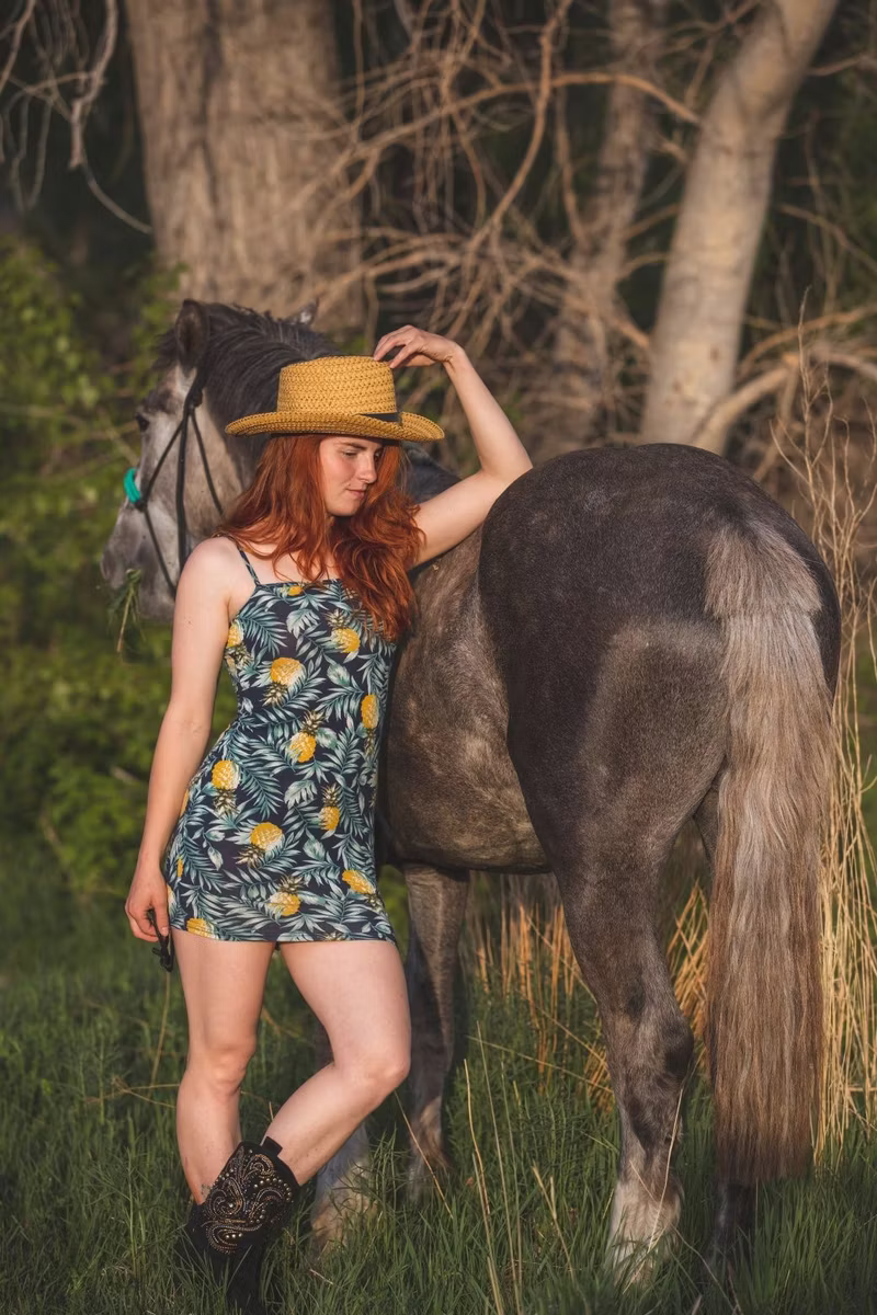 Altai horse